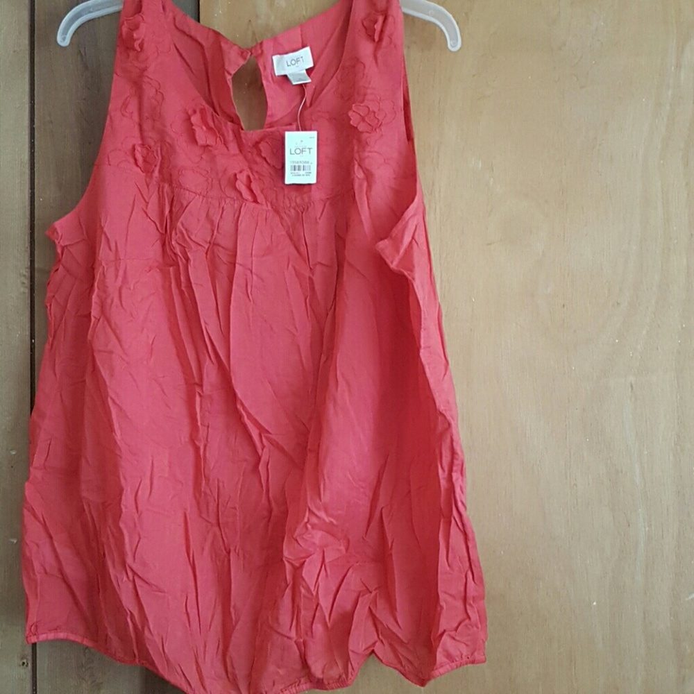 ANN Taylor loft