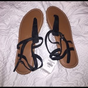 NWT Hollister Sandals