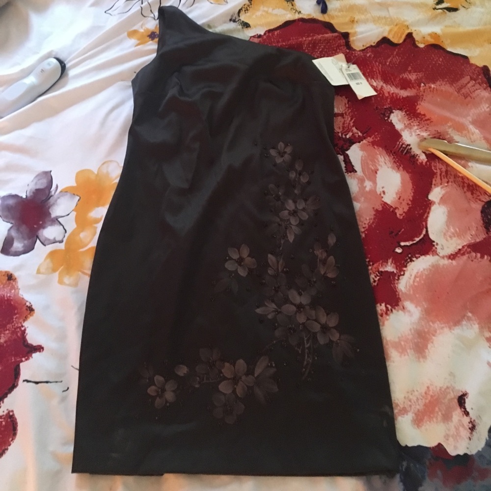 CDC Petite Dress