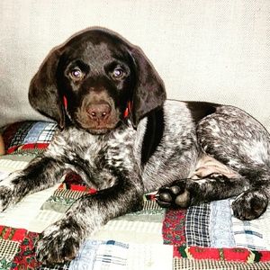 Meet your Posher, Lance