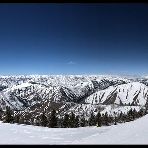 Meet your Posher, Ryane