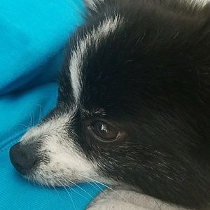 Meet your Posher, Brad