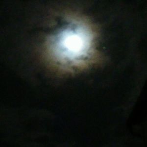 Meet your Posher, Dawn