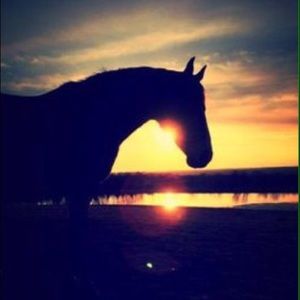 Meet your Posher, Gage