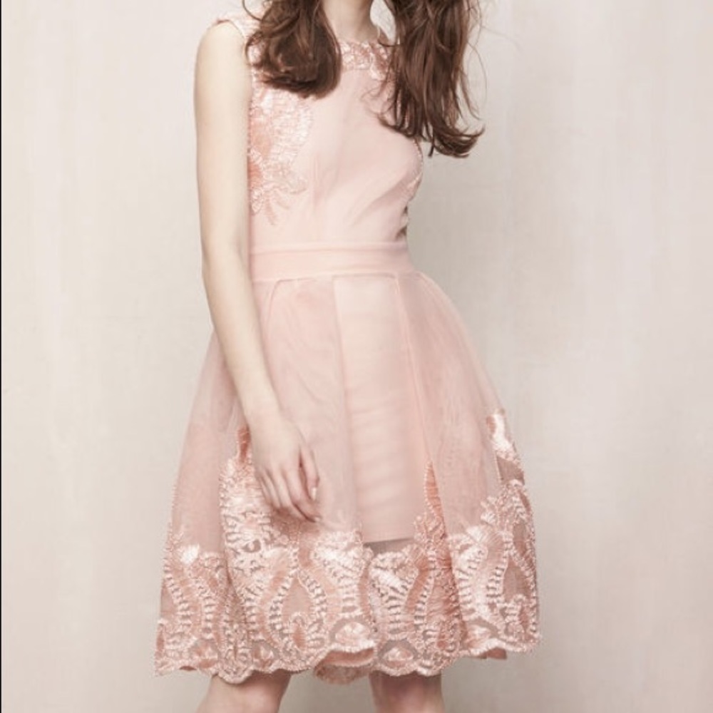 Wedding guest dress! Maje REASON dress size 1