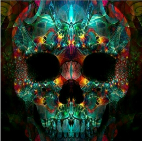 Meet your Posher, Shadoh - Picture 3 of 5