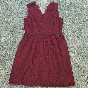 LOFT lace dress. NWT