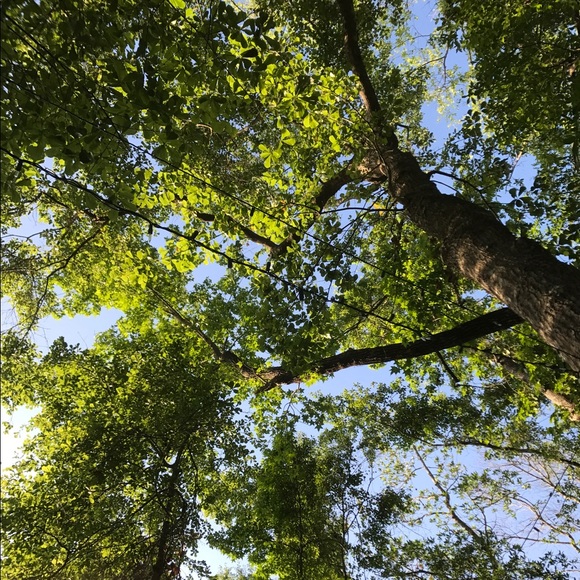 Meet your Posher, Emma - Picture 1 of 1