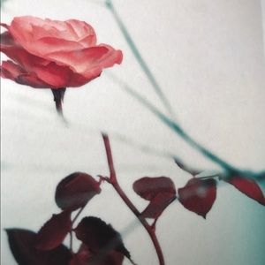 Meet your Posher, Autumn