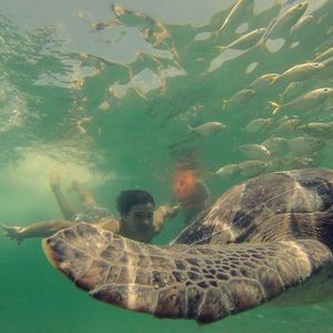 Meet your Posher, Guillermo