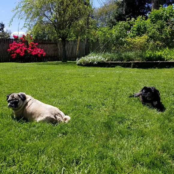 Meet your Posher, Justina - Picture 5 of 8