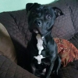 Meet your Posher, Russell