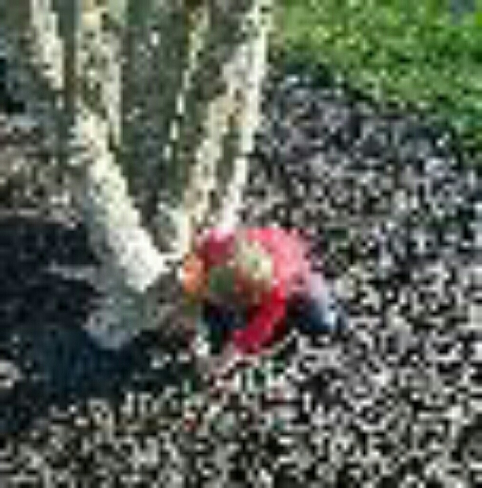 Meet your Posher, Marisa