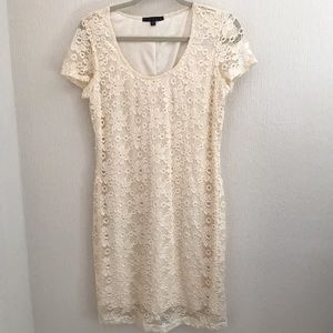 Beautiful Ivory Tiana B Lace Overlay Dress