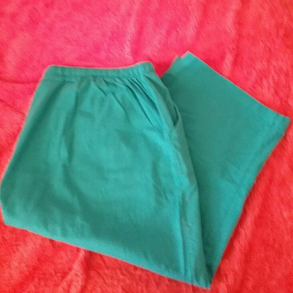 Womens Only Necessities Teal Capris Size 30W
