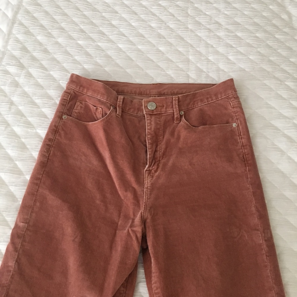 BDG Pink Corduroy Twig High Rise Pants/Jeans