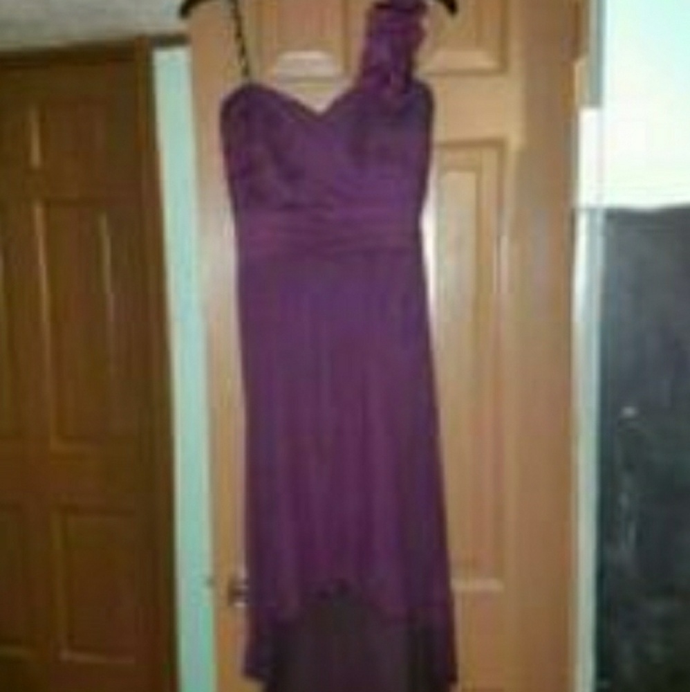 David's Bridal Bridesmaid Dress