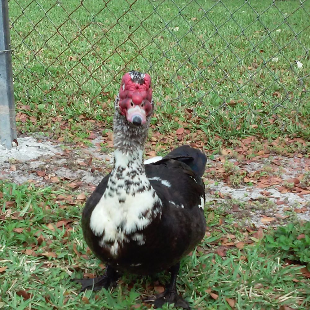 Meet your Posher, Kimberlee