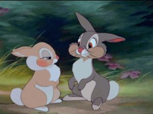 Meet your Posher, Paola