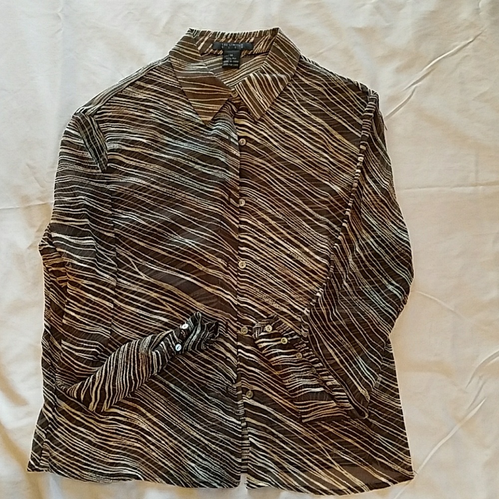 Sheer Long Sleeve Shirt