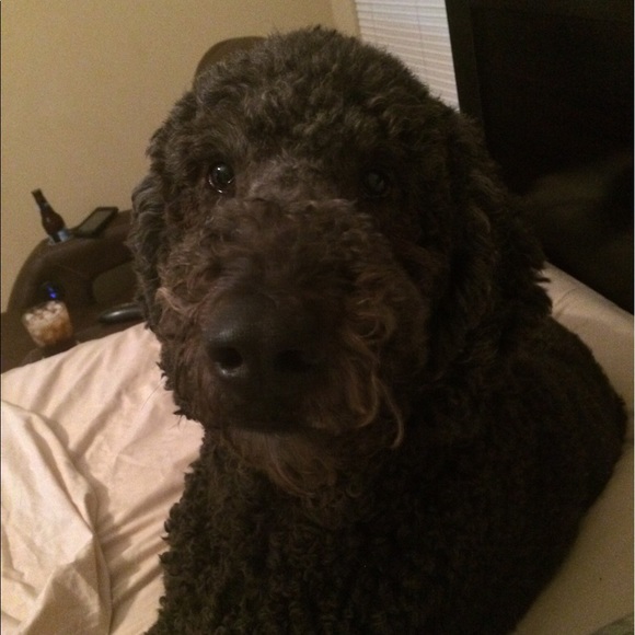 Meet your Posher, Michela - Picture 3 of 5