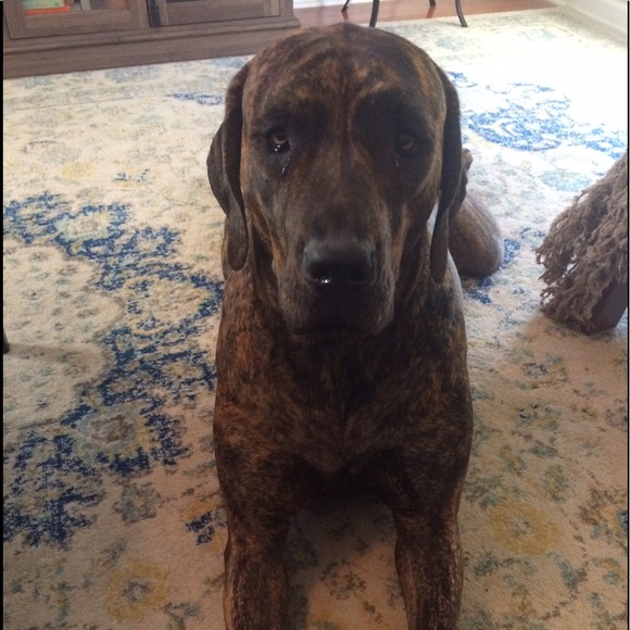 Meet your Posher, Michela - Picture 4 of 5