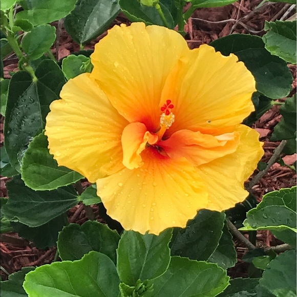 Meet your Posher, Michela - Picture 2 of 5