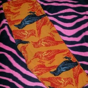 LULAROE OS LEGGINGS EUC