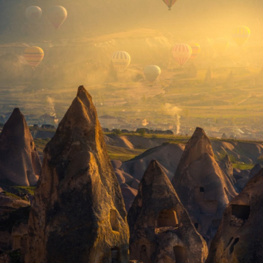 Meet your Posher, Vanessa