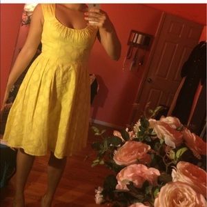 Calvin Klein Dress size 12