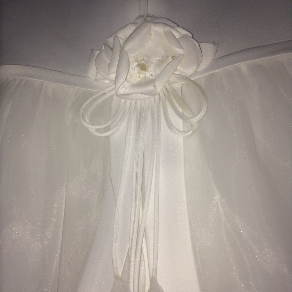 David's bridal Flower girl dress - Picture 5 of 5