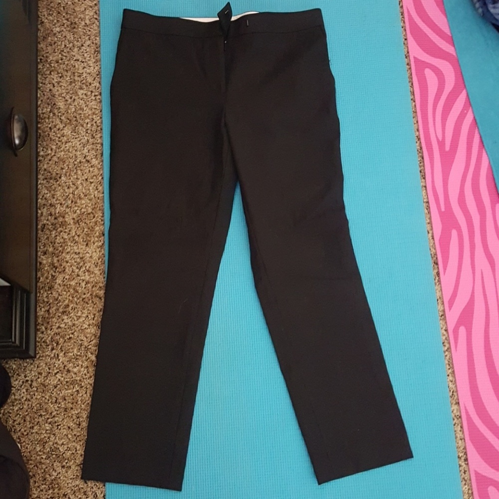 Devin fit ankle.cropped size 8