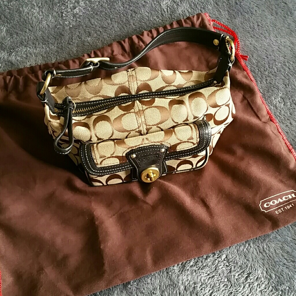 Coach small signature c bag