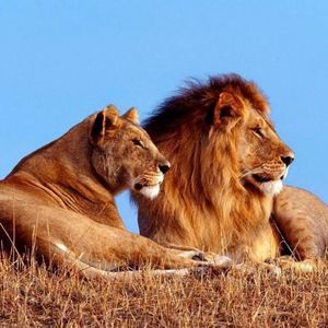 Meet your Posher, Nita ty