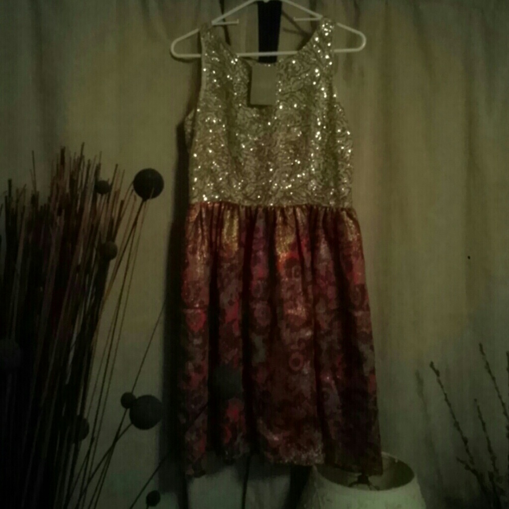 Gorgeous Anthropology Evening Dress. YES!!!!!