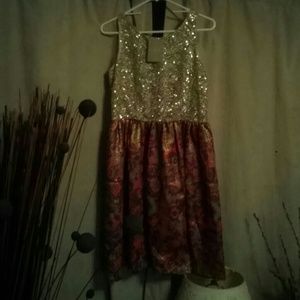 Gorgeous Anthropology Evening Dress. YES!!!!!