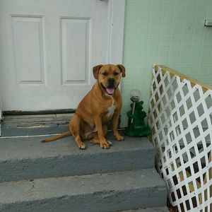 Meet your Posher, Helen