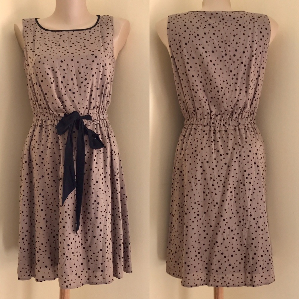 Loft Polka Dot Dress (Women's XS)