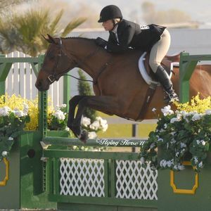 Meet your Posher, Anne