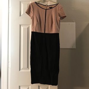 Ann Taylor Dress