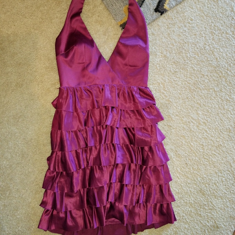 NWT max and Cleo dress