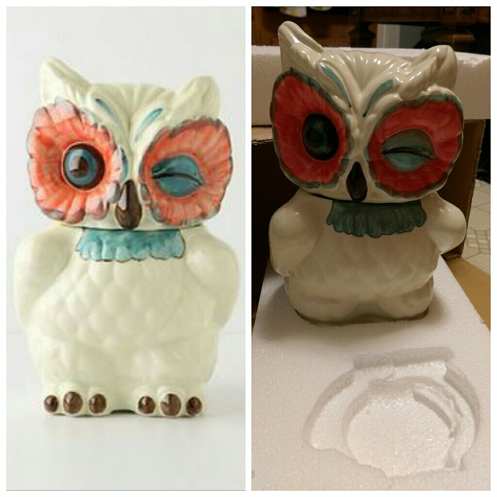 Anthropologie Nola Wise Owl Cookie Jar Storage