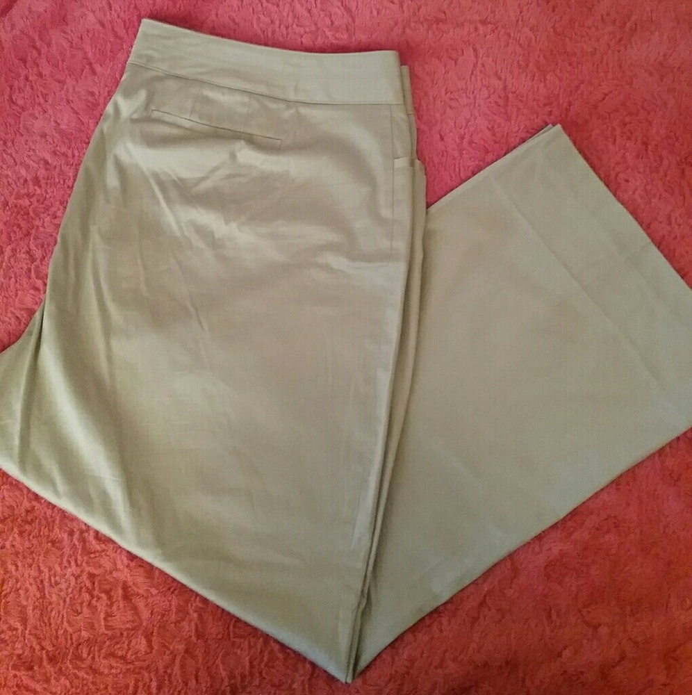Women's Size 28 Lane Bryant Khaki Pants