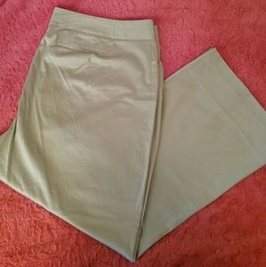 Women's Size 28 Lane Bryant Khaki Pants