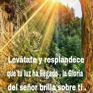 Meet your Posher, Angelica