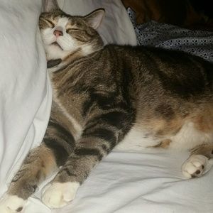 Meet your Posher, Marquetta