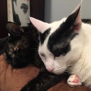 Meet your Posher, Lara