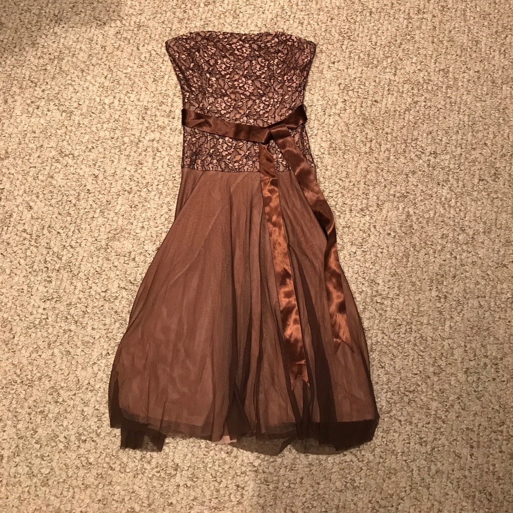 Alexia admor pink and brown lace and chiffon dress