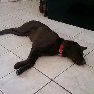 Meet your Posher, Chris