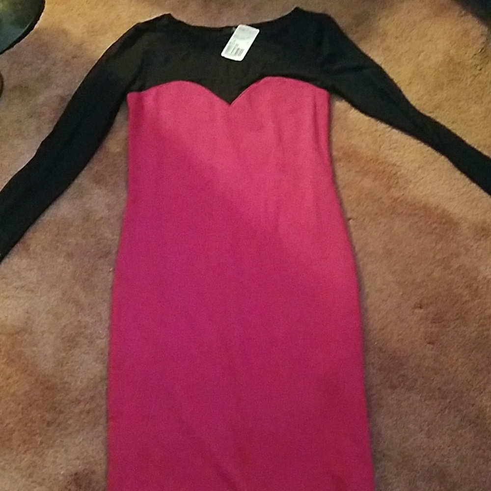 Pink amd black long sleeve mesh dress